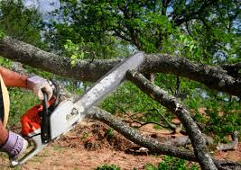 Best Seasonal Cleanup (Spring/Fall)  in Ripon, WI